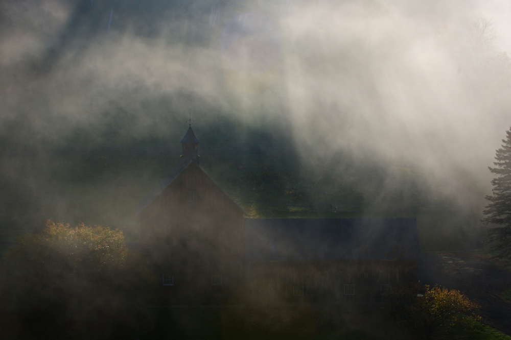 Foggy Morning at Sleepy Hollow Farm